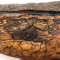 Old Folk Art Carved Found Wood Alligator Head