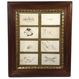 Rare Spencerian Calling Card Salesman Samples in Presumed Original Frame