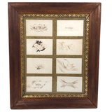 Rare Spencerian Calling Card Salesman Samples in Presumed Original Frame