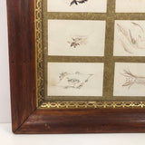 Rare Spencerian Calling Card Salesman Samples in Presumed Original Frame