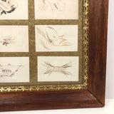 Rare Spencerian Calling Card Salesman Samples in Presumed Original Frame