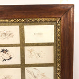 Rare Spencerian Calling Card Salesman Samples in Presumed Original Frame