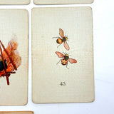 Teuila Fortune Telling Cards, Complete 1923 Deck in Original Sleeve with Instruction Booklet