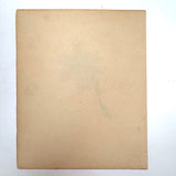 Yellow Bearded Pale Iris, Delicate Antique Watercolor