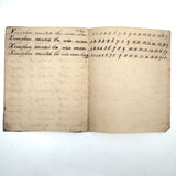 SOLD Divide Your Portion Among the Poor, Nancy Crouses's 1830-31 Short but Great Penmanship Notebook