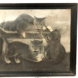 Three Kittens with String, Charming 19th C. Folk Art Sandpaper Drawing, Framed
