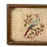 Lovely 1830 Needlepoint of Parrot on Branch with Monogram in Early Frame