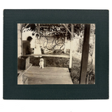 Vines, Hammock, Standing Dog, Man in Motion, Woman in White, Striking Antique Mounted Photograph