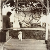 Vines, Hammock, Standing Dog, Man in Motion, Woman in White, Striking Antique Mounted Photograph