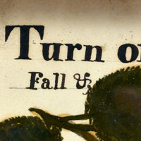Turn of the Lane, Wonderful Earlyish 19th Century Oil on Paper Apple with Perfect Inked Lettering