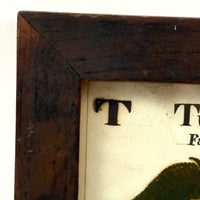 Turn of the Lane, Wonderful Earlyish 19th Century Oil on Paper Apple with Perfect Inked Lettering