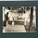 Vines, Hammock, Standing Dog, Man in Motion, Woman in White, Striking Antique Mounted Photograph