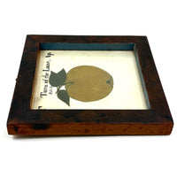 Turn of the Lane, Wonderful Earlyish 19th Century Oil on Paper Apple with Perfect Inked Lettering