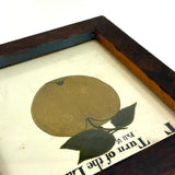 Turn of the Lane, Wonderful Earlyish 19th Century Oil on Paper Apple with Perfect Inked Lettering