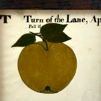 Turn of the Lane, Wonderful Earlyish 19th Century Oil on Paper Apple with Perfect Inked Lettering