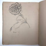 Vivian Lincoln's Grade School Botany Notebook