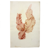 Painterly Pinks, Lovely Victorian Mounted Sea Moss Specimen