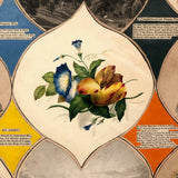 19th C Large Scrapbook Page Composition with Very Fine Botanical Watercolor at Center