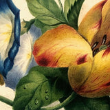 19th C Large Scrapbook Page Composition with Very Fine Botanical Watercolor at Center