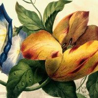 19th C Large Scrapbook Page Composition with Very Fine Botanical Watercolor at Center