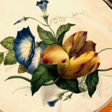 19th C Large Scrapbook Page Composition with Very Fine Botanical Watercolor at Center
