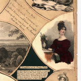 19th C Large Scrapbook Page Composition with Very Fine Botanical Watercolor at Center