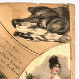 19th C Large Scrapbook Page Composition with Very Fine Botanical Watercolor at Center