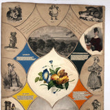 19th C Large Scrapbook Page Composition with Very Fine Botanical Watercolor at Center