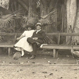 Under the Banyan Tree, With Peacocks, Stunning Antique Silver Print Photograph