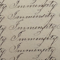 Prudence Wells's (Shelburne, MA) Lovely Early 19th Century Penmanship Notebook