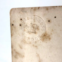Lush Scabbed Peach: 19th C. British Theorem on Paper