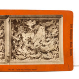 Case of Stuffed Birds, Striking and Evocative Albumen Stereoview. c. 1870, John Soule, Boston