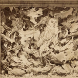 Case of Stuffed Birds, Striking and Evocative Albumen Stereoview. c. 1870, John Soule, Boston