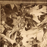 Case of Stuffed Birds, Striking and Evocative Albumen Stereoview. c. 1870, John Soule, Boston