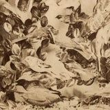 Case of Stuffed Birds, Striking and Evocative Albumen Stereoview. c. 1870, John Soule, Boston