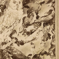 Case of Stuffed Birds, Striking and Evocative Albumen Stereoview. c. 1870, John Soule, Boston