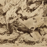 Case of Stuffed Birds, Striking and Evocative Albumen Stereoview. c. 1870, John Soule, Boston
