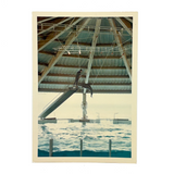 Iconic Feeling 1968 Seaworld-Type Dolphin Show Kodak Snapshot (With Man in White Coat)