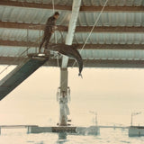 Iconic Feeling 1968 Seaworld-Type Dolphin Show Kodak Snapshot (With Man in White Coat)
