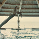 Iconic Feeling 1968 Seaworld-Type Dolphin Show Kodak Snapshot (With Man in White Coat)