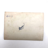 Batter and Catcher Watching Ball (or UFO!), Transcendent Old Snapshot Photo