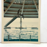 Iconic Feeling 1968 Seaworld-Type Dolphin Show Kodak Snapshot (With Man in White Coat)