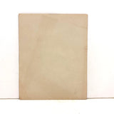 Fierce Looking Woman with Fierce Looking Dog, 1890s Photograph