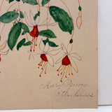 Mary Penny's Lovely and Lyrical Fuchsia Flowers Watercolor,  Early 1900s