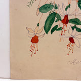 Mary Penny's Lovely and Lyrical Fuchsia Flowers Watercolor,  Early 1900s