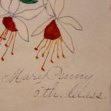 Mary Penny's Lovely and Lyrical Fuchsia Flowers Watercolor,  Early 1900s