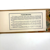 SOLD Lovely (and Usable) Booklet of Nicholson's Peerless Japanese Transparent Watercolors