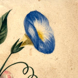 Mottled Urn on Marble Base with Morning Glories, Lovely c. Mid 19th Century Theorem Style Watercolor