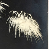 Black Sky, Exploding Fireworks, Gorgeous Earlier 20th Century Silver Print