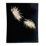 Black Sky, Exploding Fireworks, Gorgeous Earlier 20th Century Silver Print